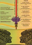 Plakat zur Ringvorlesung des IMMS WS2023/24